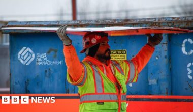 US economy slows in final months after turbulent year - BBC