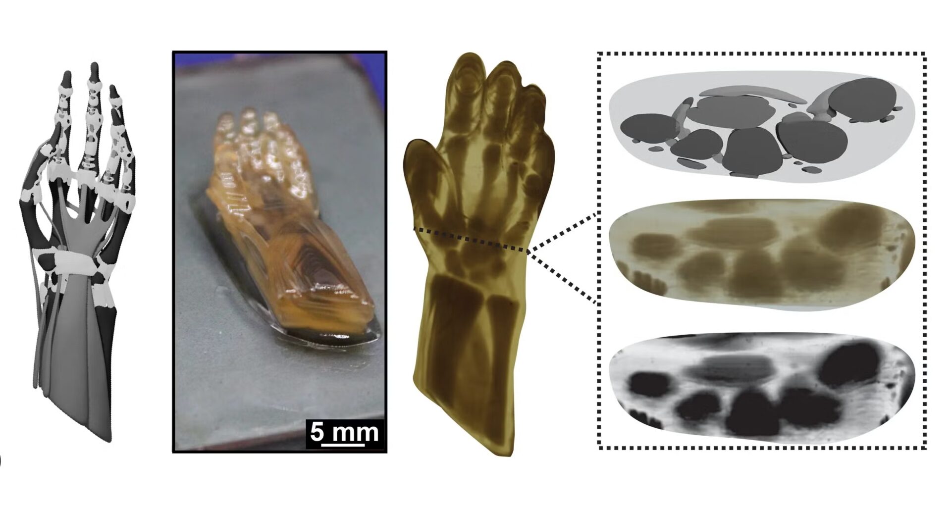 UT Austin, National Labs Launch CRAFT for Multi-Material, High-Resolution Anatomical 3D Printing