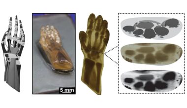 UT Austin, National Labs Launch CRAFT for Multi-Material, High-Resolution Anatomical 3D Printing