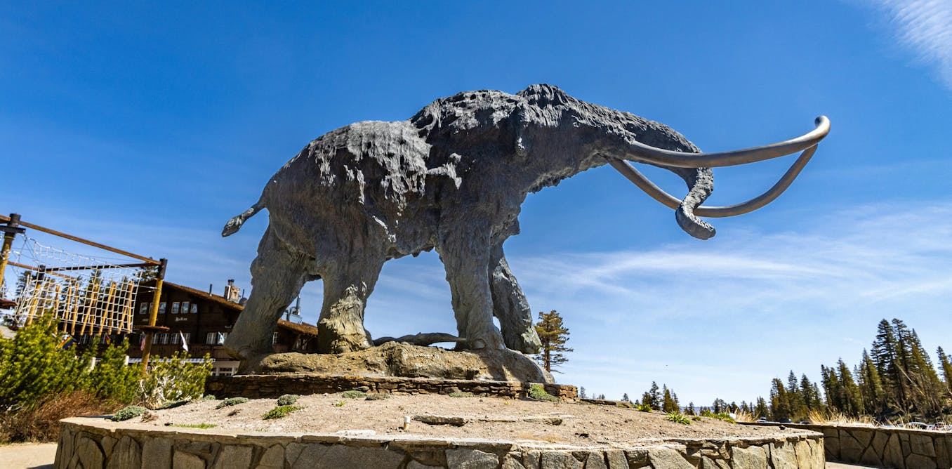 Some companies claim they can ‘resurrect’ species. Does that make people more comfortable with extinction?