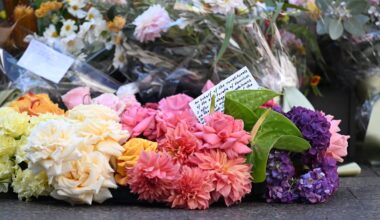 Lessons from Bondi Junction attack show what we really need from schizophrenia care