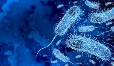 Ancient bacteria from 5,000-year-old ice reveals clues to fighting superbugs