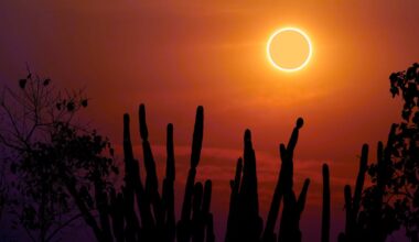 For thousands of years, solar eclipses have been associated with the fate of rulers