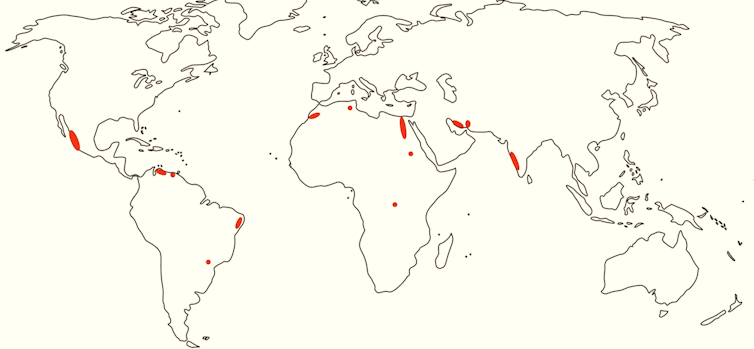 Map showing global hotspots for scorpion deaths.