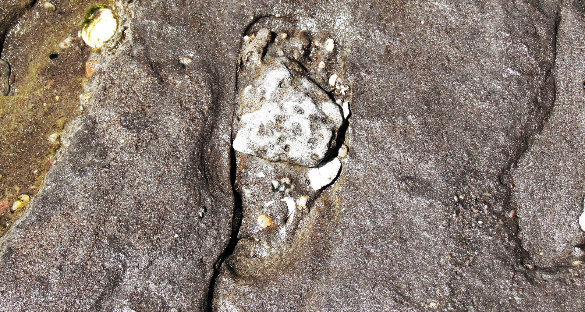 Footprints rewrite the timeline of human arrival in the Americas