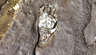 Footprints rewrite the timeline of human arrival in the Americas