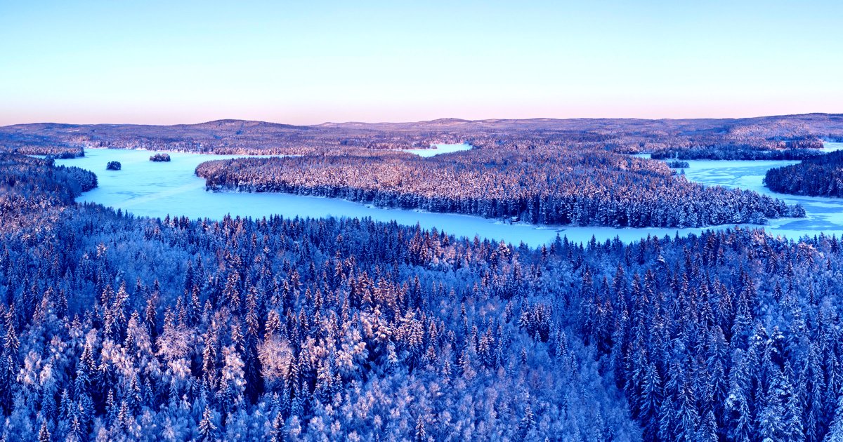 Forests Are Steadily Crawling North, Satellite Imagery Shows