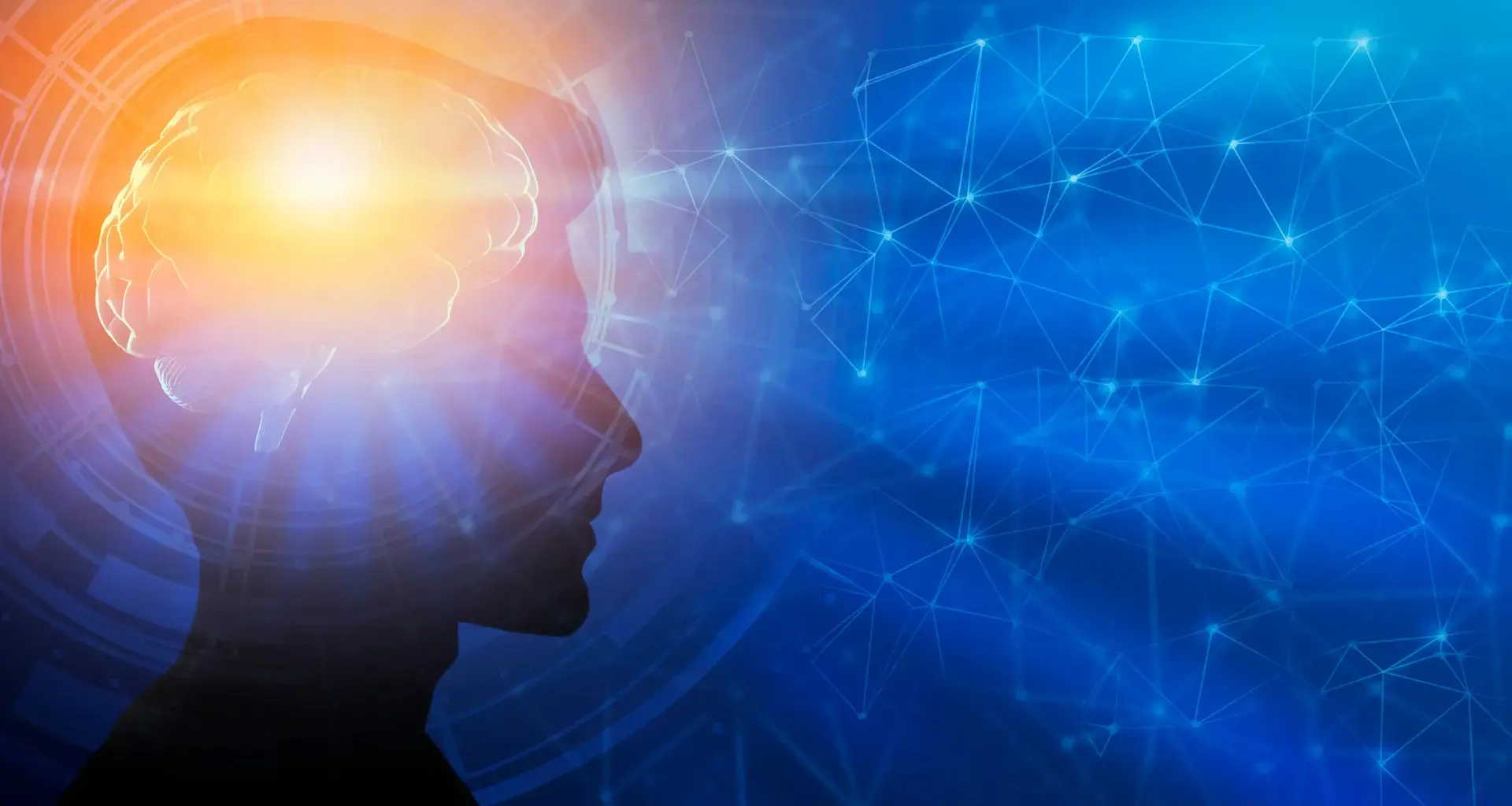 Brain development may continue into your 30s, new research shows