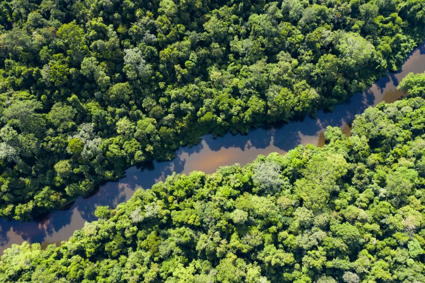 An aerial view of Taman Negara National Park, with the Tembeling River flowing through.