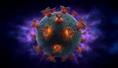 Giant virus discovery could rewrite the origin of complex life