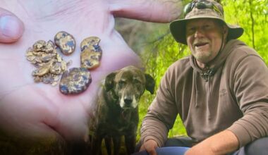 New Kiwi gold rush heats up as price spikes