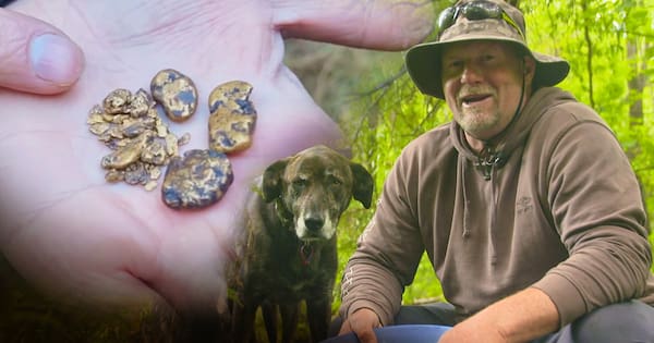 New Kiwi gold rush heats up as price spikes