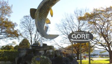 Gore seeks name for brown trout statue