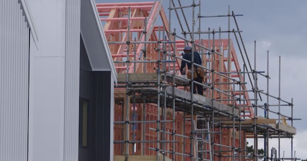 Seymour and mayor spar over Auckland housing density changes