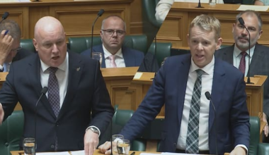 Tax, levy, fee or charge? Parties in war of words over Govt's gas policy