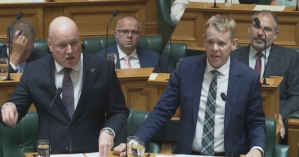 Tax, levy, fee or charge? Parties in war of words over Govt's gas policy