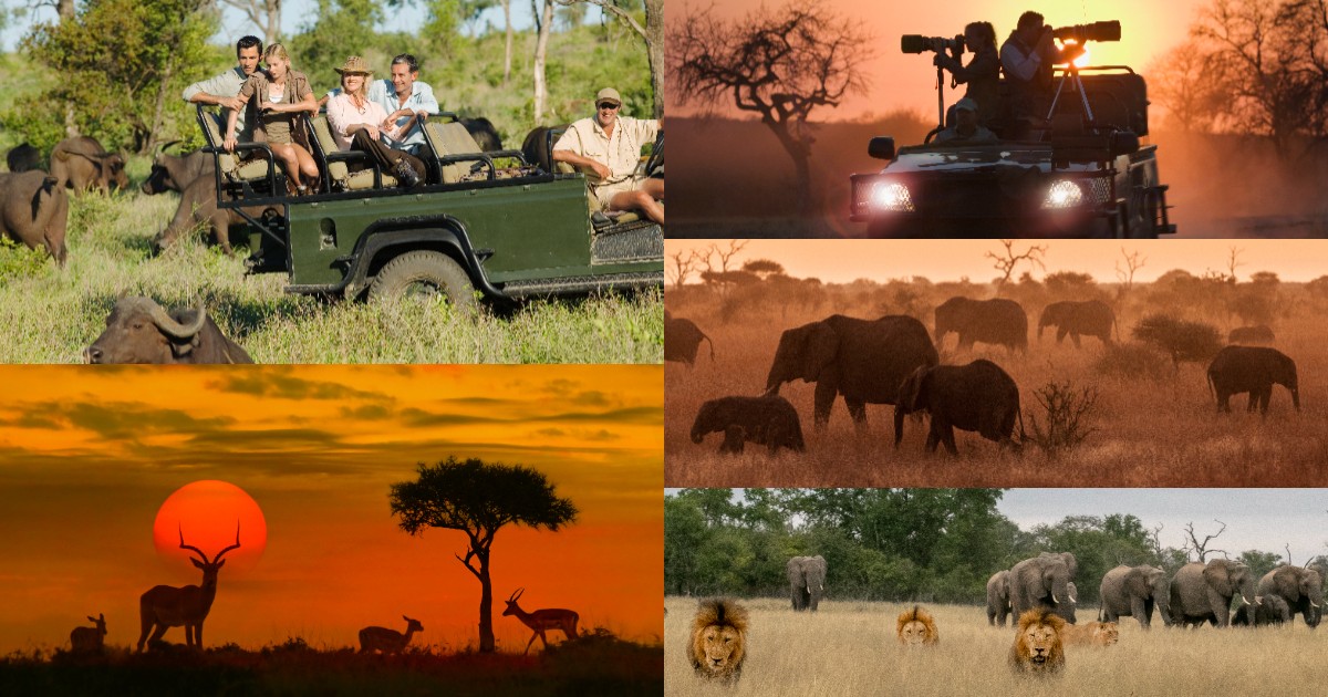 Adventure tourism fuels $1.5bn boost for South Africa's economy as local impact supports 91,000 jobs