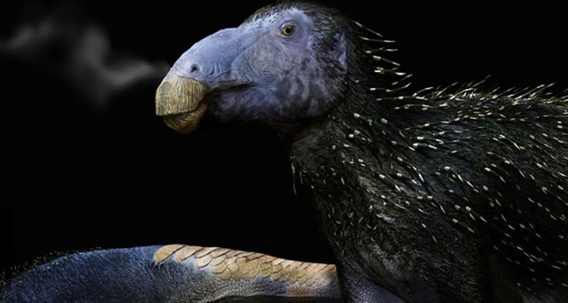 125 million-year-old dinosaur with never before seen hollow spikes discovered in China