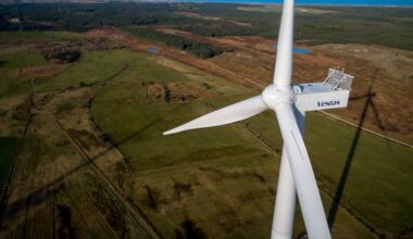 Rangitikeī iwi bets on green energy