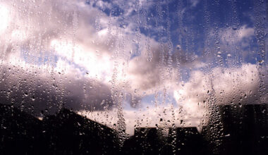 How not to get SAD this time of year · TheJournal.ie