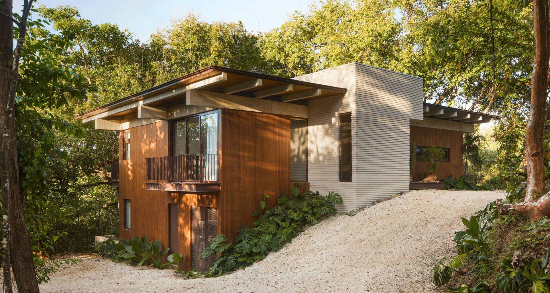 FAMM Arquitectura designs Costa Rican house around trees
