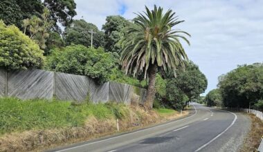 The road with too many crashes