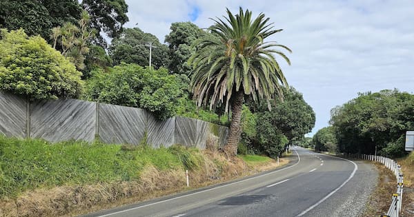 The road with too many crashes