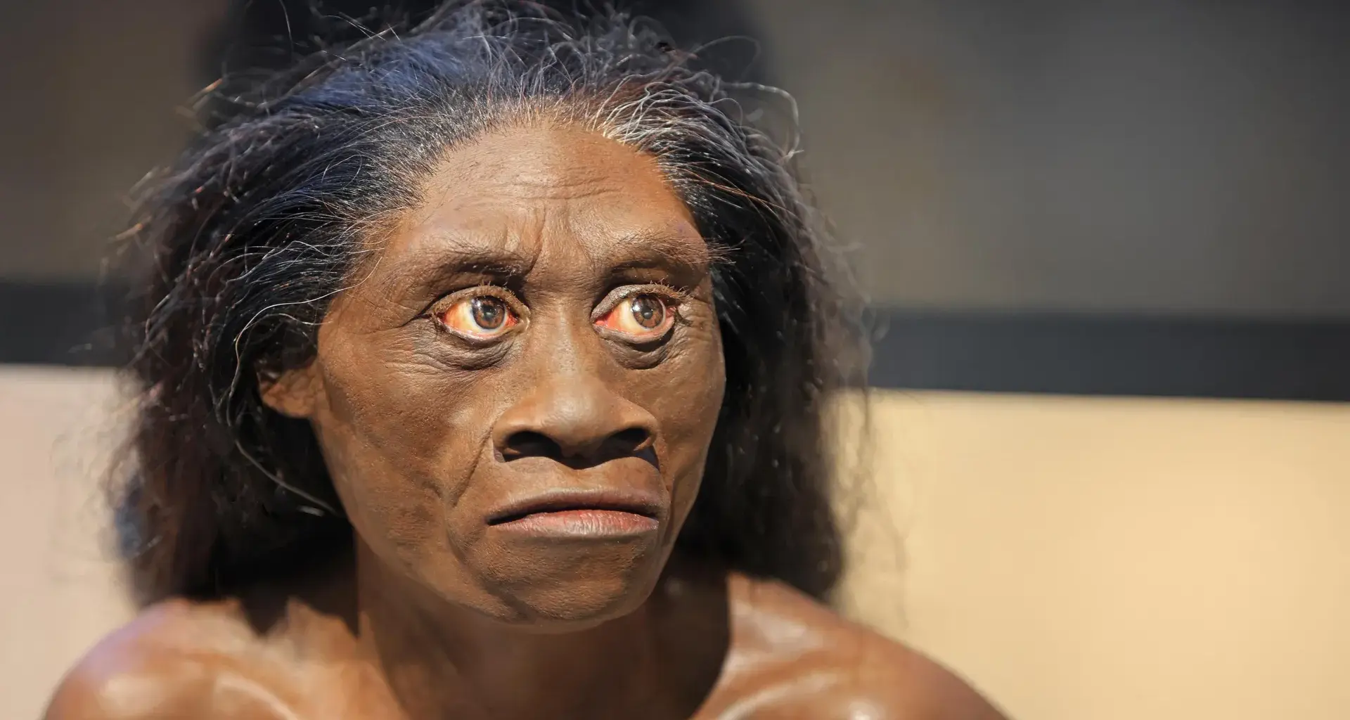 Ancient drought may have wiped out the real-life hobbits 61,000 years ago