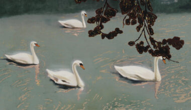 Swans have been seducing us for centuries. Why?