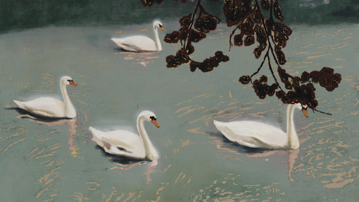 Swans have been seducing us for centuries. Why?
