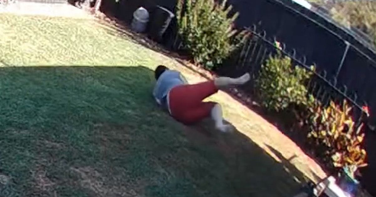 Geelong woman's narrow escape after encountering venomous snake