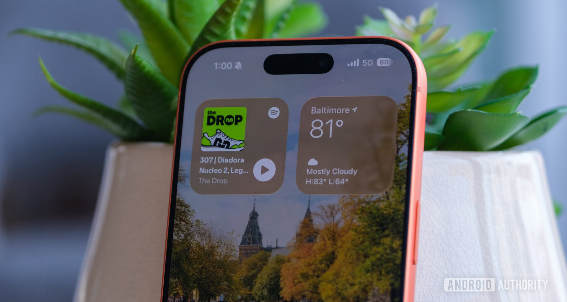 iPhone 17 Pro dynamic island