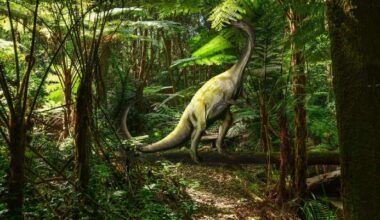 Small Triassic Dinosaur from Brazil Sheds New Light on Sauropodomorph Growth Strategies
