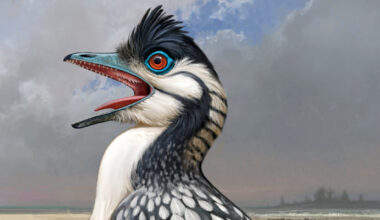 Archaeopteryx’s Feeding-Related Structures Reflect Elevated Demands of Flight, Scientists Say