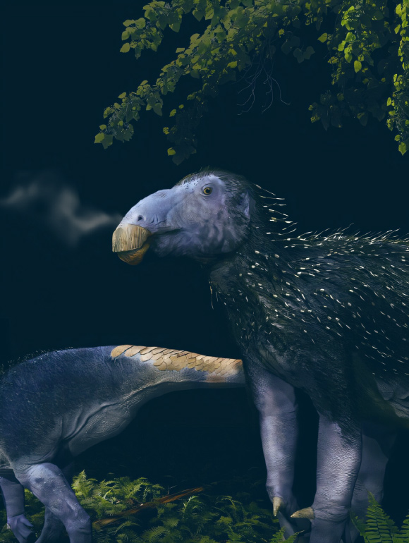 Life reconstruction of a juvenile Haolong dongi. Image credit: Fabio Manucci.
