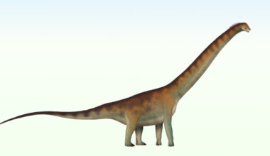 An artist’s impression of Dasosaurus tocantinensis. Image credit: TotalDino / CC BY 4.0.