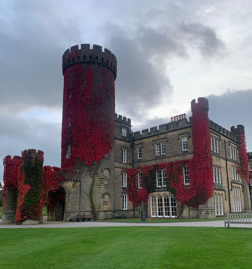 historic castle adorned with red ivy surrounded by green grass