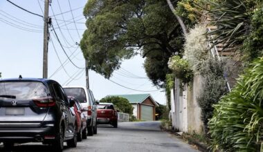 Neighbourhood feud in Wellington over yellow lines