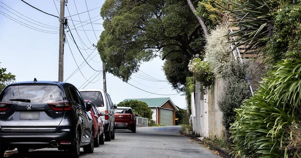 Neighbourhood feud in Wellington over yellow lines