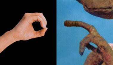 Love in low gravity: The surprisingly high stakes of sex in space