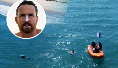 SunLive - Man attempting world-record swim joined by orca