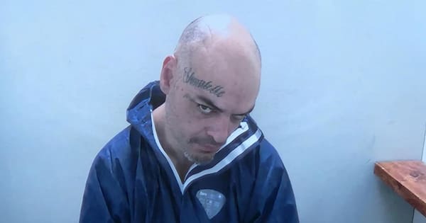 Man admits murdering woman on Auckland bus