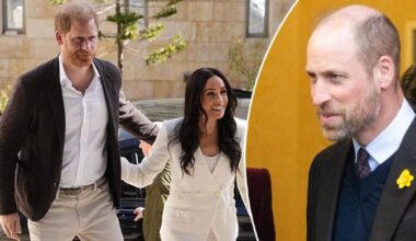 Prince Harry, Meghan's secret move ignites hope for William reunion