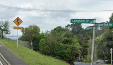 Twelve-year-old falls, injured after school bus door opens in Auckland