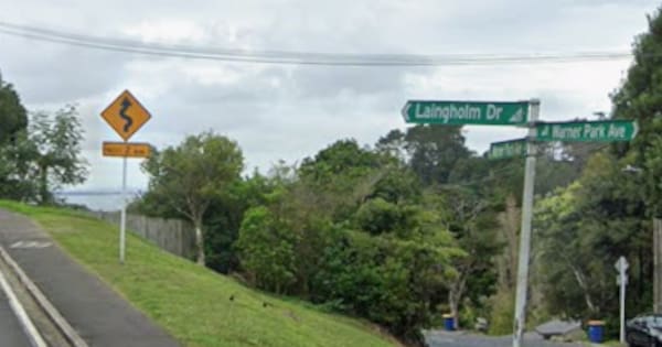 Twelve-year-old falls, injured after school bus door opens in Auckland
