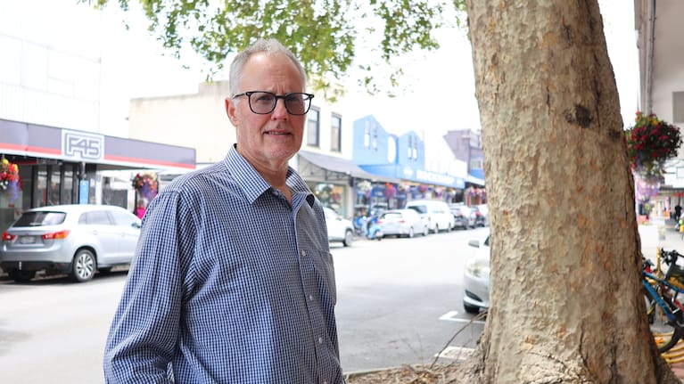 Nelson City Council's executive director delivery, Alec Louverdis, said the trees would be replaced by even more natives.