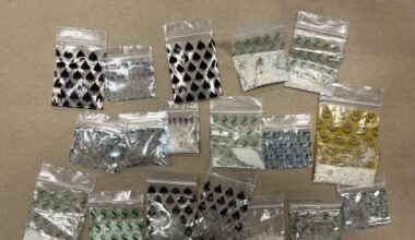 $70k of drugs sniffed out after speedster stopped