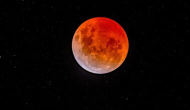 Lunar eclipse perfectly placed | Otago Daily Times Online News