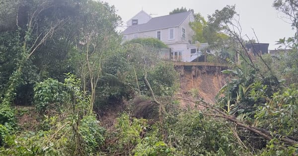 Many homeowners fighting with councils over slips, Auckland woman says