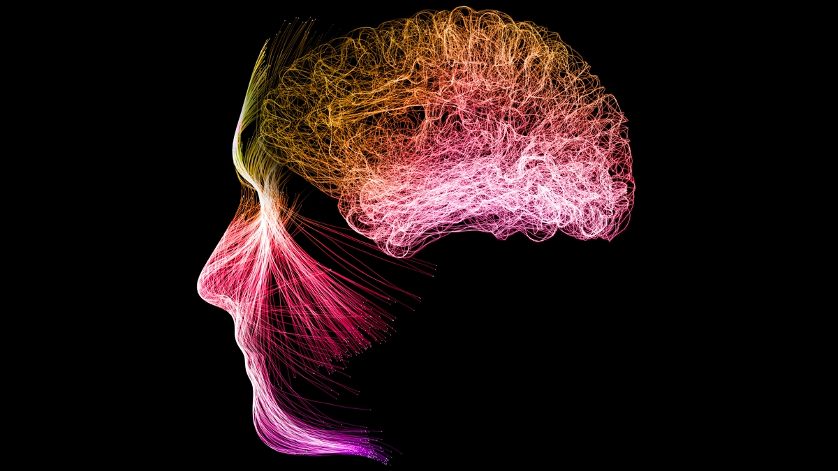 Meditation Can Reshape Your Brain Activity, Study Reveals : ScienceAlert